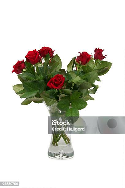 Красная Роза — стоковые фотографии и другие картинки Ароматический - Ароматический, В стиле минимализма, Вертикальный