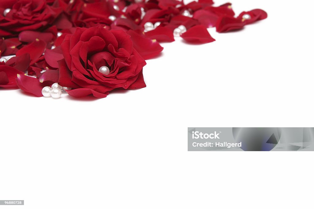 Red roses  Border - Frame Stock Photo
