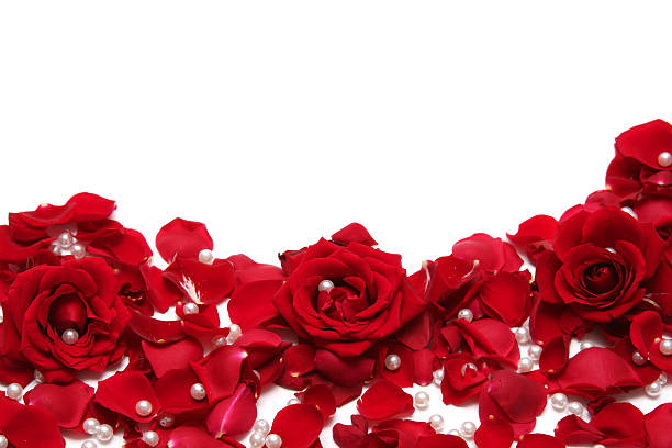 Red Roses Petals And Pearls Scattered On A White Surface Stock Photo -  Download Image Now - iStock
