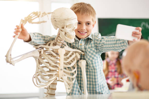 istock Cheerful nice boy taking a photo with the skeleton 968812114