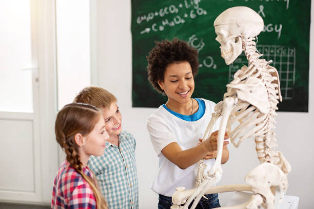 heureux superbes enfants jouant avec un squelette - anatomy classroom human skeleton student photos et images de collection