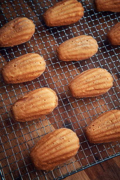 Baking Homemade Madeleine Cakes