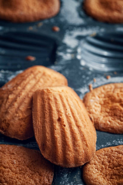 istock Baking Homemade Madeleine Cakes 968816200