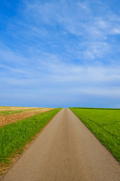 istock Road. A field road under a blue sky.Landscape in minimalist style 968819532