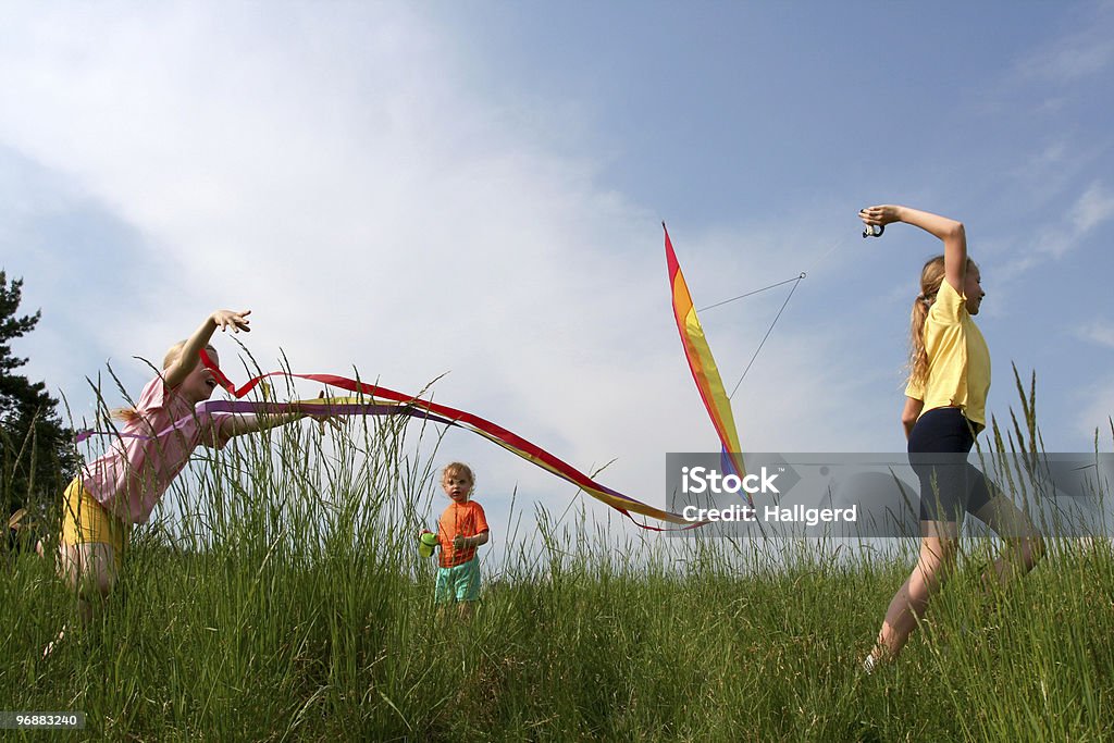 Flying kite  Agricultural Field Stock Photo