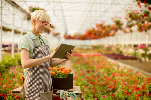 istock Senior woman using tablet in flower garden 968834478