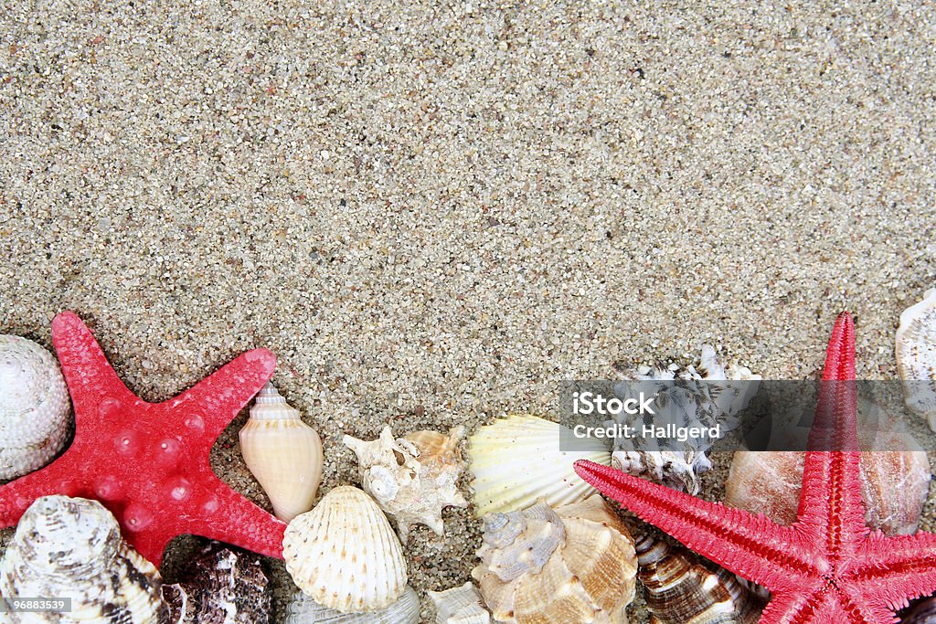 Shell - Foto de stock de Areia royalty-free