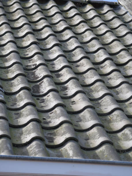 istock Closeup of tiled Dutch roof 968837176