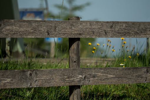 A wooden fence on a blooming meadow