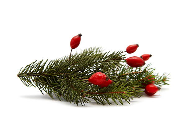 istock Red-green christmas arragement 96884303