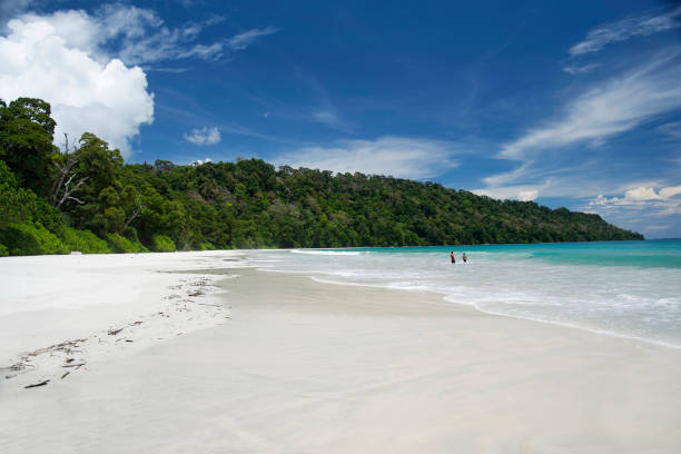 Radhanagar beach, Havelock Island, Andaman islands One of the 10 best beaches in Asia, located at 2 hour journey by cruise from Port Blair and further by road, one of he most iconic clean and clear seascape to watch and enjoy sea swimming. andaman sea stock pictures, royalty-free photos & images