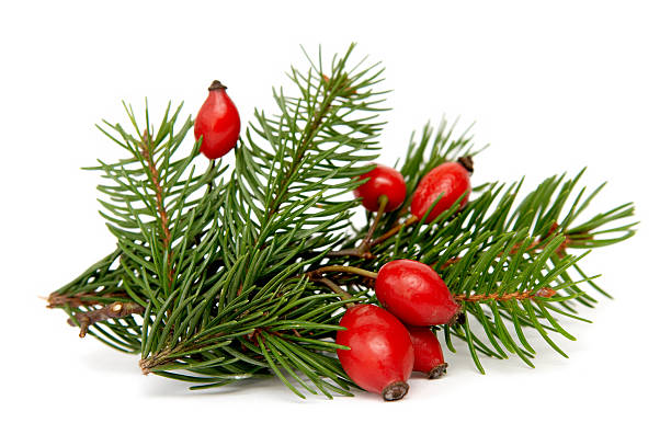 istock Red-green Christmas arragement 96884637