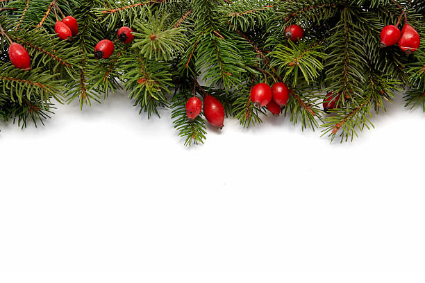 istock Red-green Christmas arragement 96884638