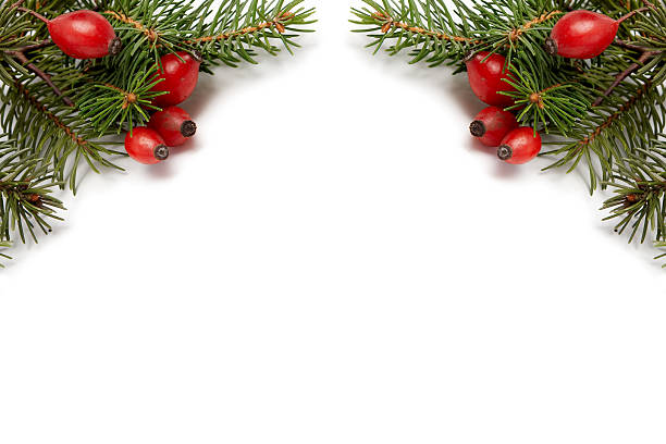istock Red-green Christmas arragement 96884645