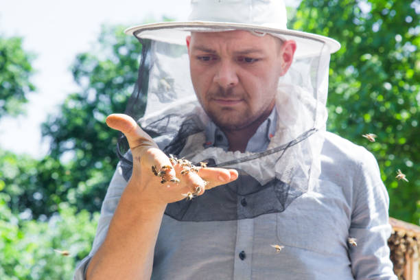 istock Beekeeper at work by the wooden bee hives. Young farmer in his farm. 968846708