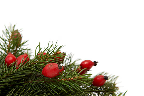istock Red-green Christmas arrangement 96884673