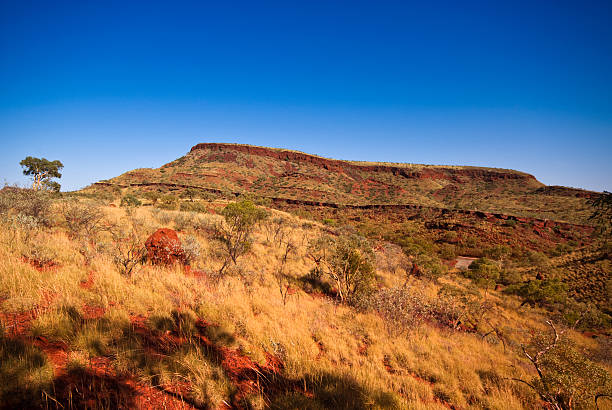 montanha parque nacional de karijini - spinnifex - fotografias e filmes do acervo