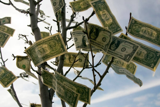 dinero crece en los árboles - money doesnt grow on trees money tree wealth paper currency fotografías e imágenes de stock