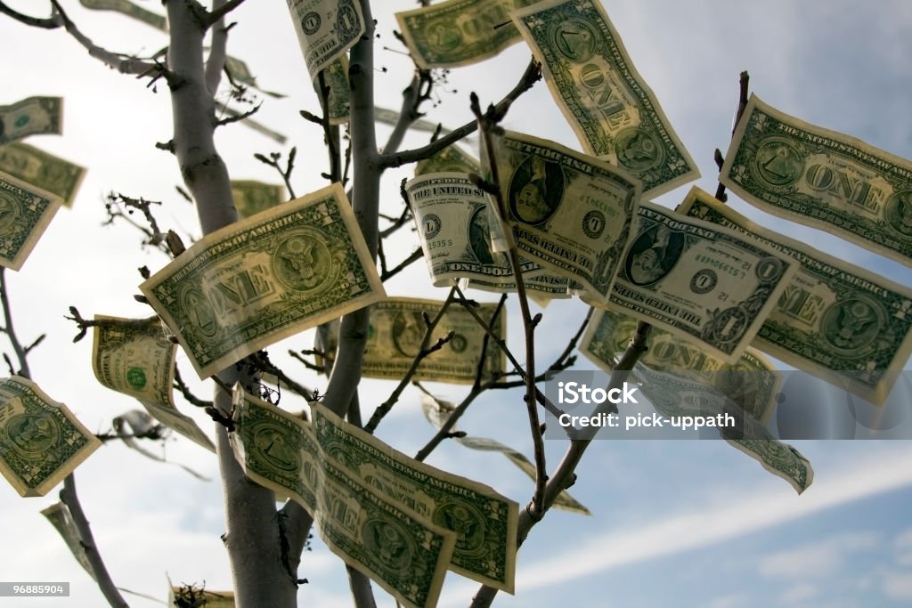 Money Grows On Trees  Money Doesn't Grow On Trees Stock Photo