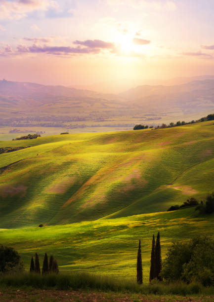 italie ; san quirico d’orcia ; coucher de soleil sur valdorcia toscan des collines - tuscan cypress photos et images de collection