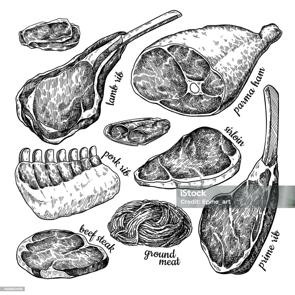 Raw meat vector drawing. Hand drawn beef steak, pork ham, lamb rib, minced chicken forcemeat. Raw meat set vector drawing. Hand drawn beef steak, pork ham, lamb rib, minced chicken forcemeat. Raw food ingredient. Vintage sketch. Butcher shop product. Great for label, restaurant menu. Meat stock vector