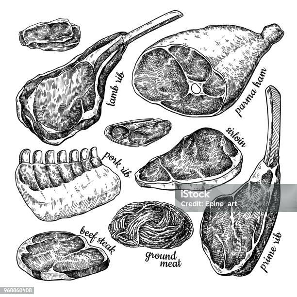 Raw Meat Vector Drawing Hand Drawn Beef Steak Pork Ham Lamb Rib Minced Chicken Forcemeat Stock Illustration - Download Image Now