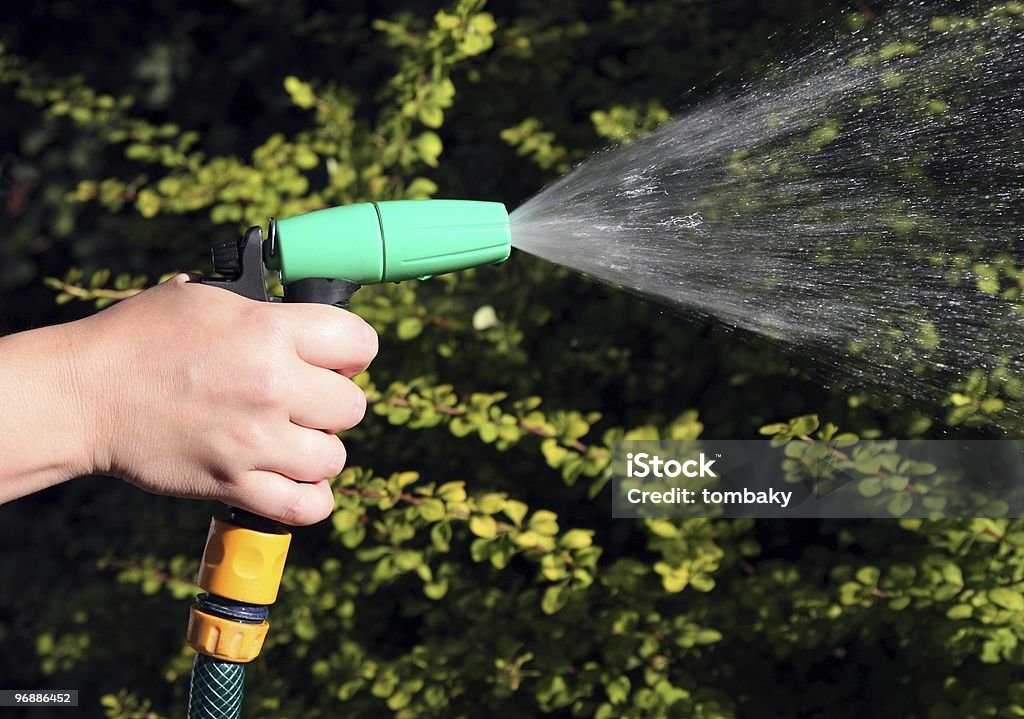 watering  Color Image Stock Photo