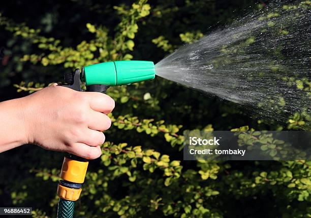 Watering Stock Photo - Download Image Now - Color Image, Falling Water - Flowing Water, Formal Garden