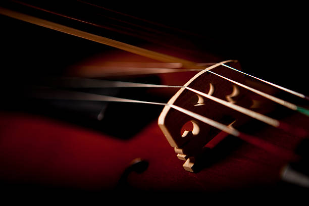 Violin on black stock photo