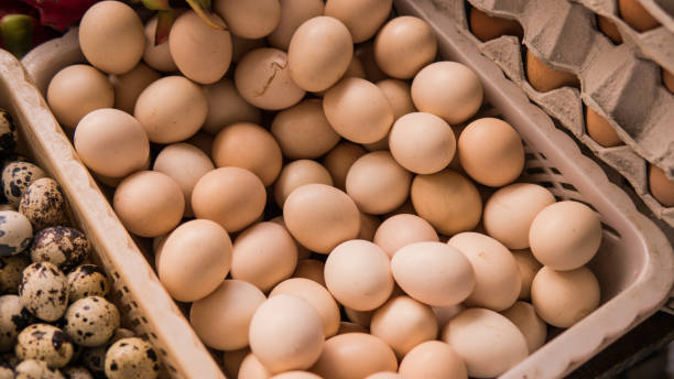 vente de close-up oeufs poulet domestique - vietnam market asia bird photos et images de collection