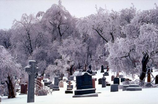 Tombstones and trees completely covered in ice during the big ice storm, in Mount Royal Cemetery, Montreal, Quebec, Canada, 1998.