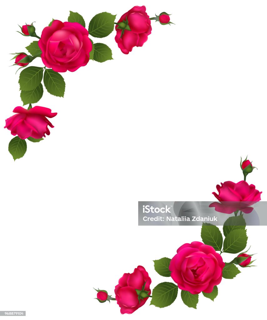 Hoa Hồng Nền Hoa Hoa Hoa Văn Bó Hoa Cánh Hoa Đỏ Lá Xanh Chồi Biên ...