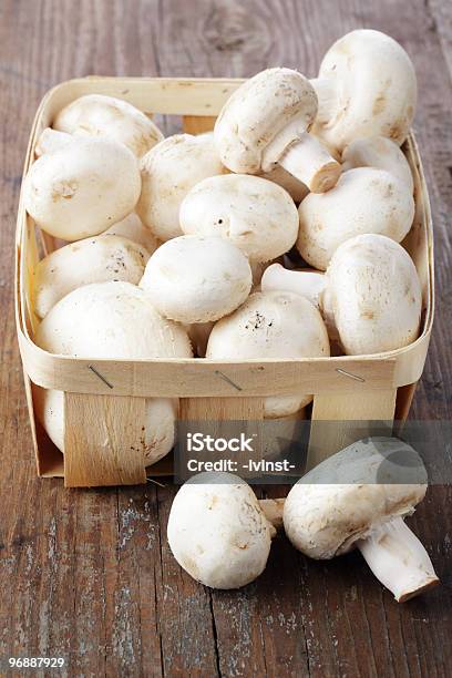 Portabello Mushrooms Stock Photo - Download Image Now - Basket, Close-up, Collection