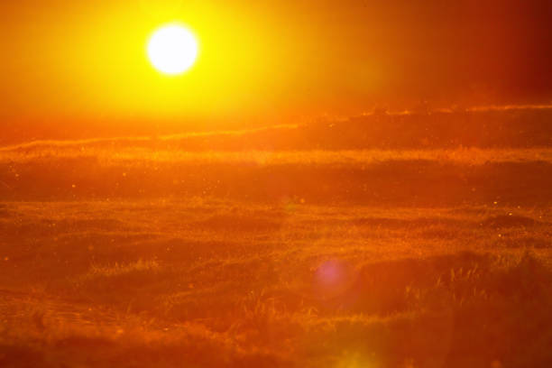 istock Covered with dew meadow lighted in orange with early sun rising 968881838
