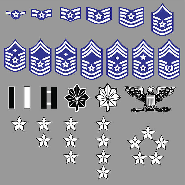 illustrazioni stock, clip art, cartoni animati e icone di tendenza di us air force rank emblema - military air vehicle
