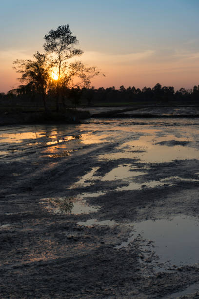 istock Waterlogged fields in Asia after heavy tropical storm 968894786