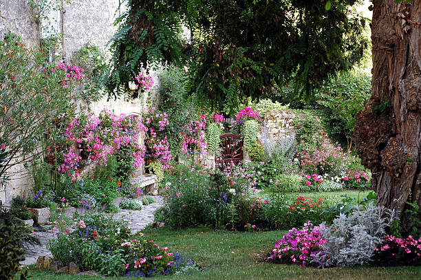 Blaye (Aquitaine, France), flowered garden at summer stock photo