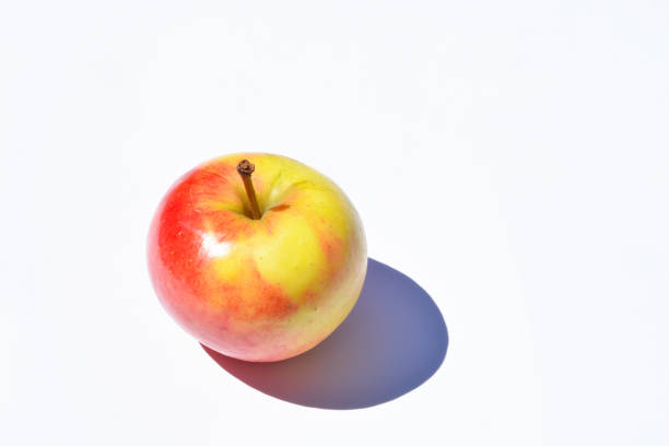 Red, yellow, green fresh Elstar apple on a empty white copy space background with sunshine and shadow effect