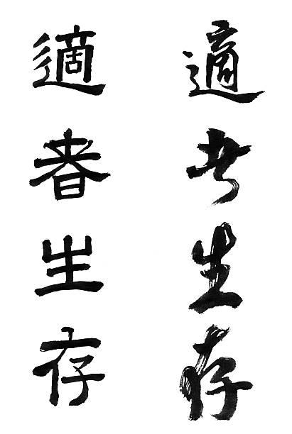 istock 