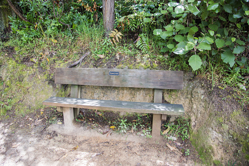 Shappy's seat wooden bench along footpath in the forest in Picton, New Zealand