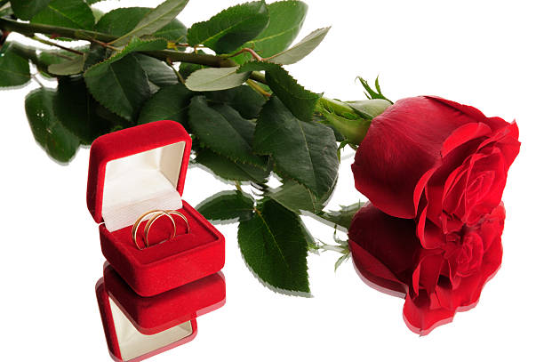 Cтоковое фото Красные розы и Обручальные кольца