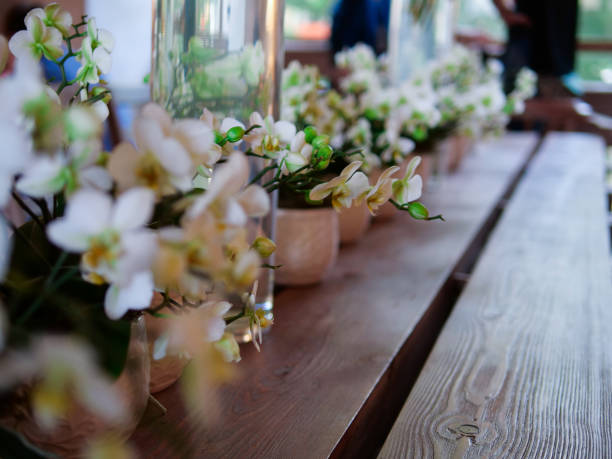 istock Decorative flowers on a wooden table 968913474