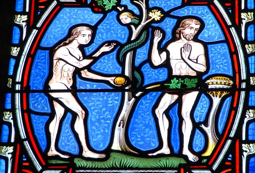 Stained glass window depicting Adam and Eve