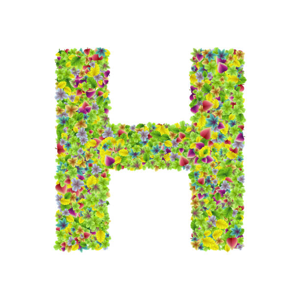 istock Vector colorful botanical garden fresh leaves font, letter H 968914760