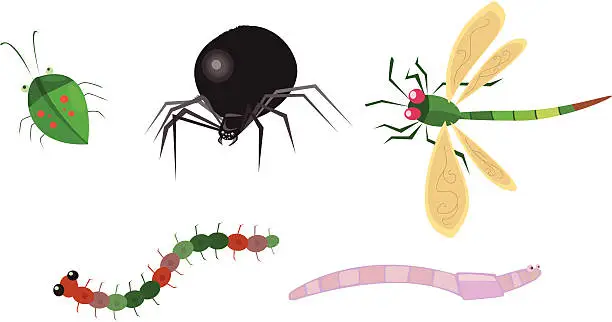 Vector illustration of insects