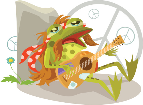  A melancholy hippy frog is singing songs of peace and cleaner pond space.