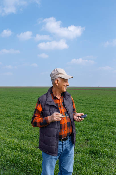 istock Senior farmer standing in young wheat field. 968921844