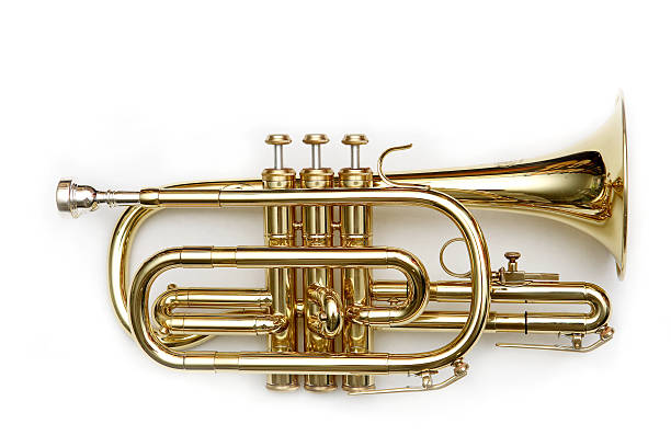 cornet isolated over white stock photo