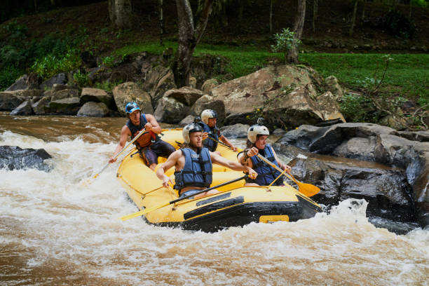 istock The rapids are vivacious but they enjoy the challenge 968924518