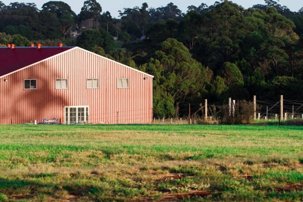 children ' s house en enclos herbeux ferme vert bois rouge - barn red old door photos et images de collection